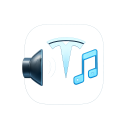 Tesla LockChime cover: netflix-tou-doum by David