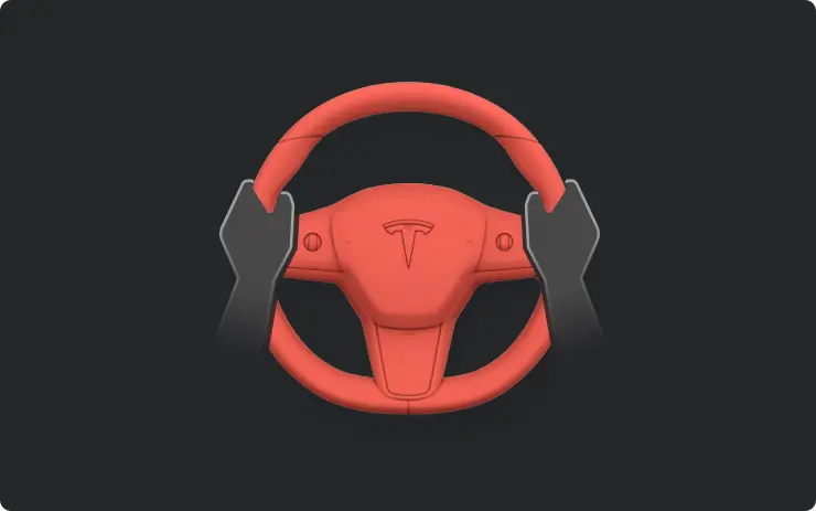 Full Self-Driving (Beta) Suspension