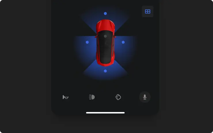Camera View on Tesla App